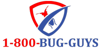  Profile Photos of 1-800-BUG-GUYS n/a - Photo 1 of 3