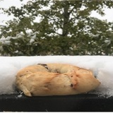  Park City Bread & Bagel 3126 Quarry Rd, #L 