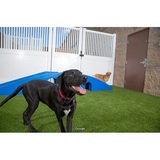  Camp Bow Wow Lafayette 114 Eunice Street 