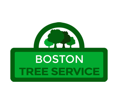 Profile Photos of Boston Tree Service 27 Rockvale Cir #3 - Photo 1 of 5