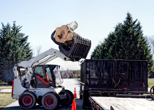 Tree Removal Boston MA<br />
 Profile Photos of Boston Tree Service 27 Rockvale Cir #3 - Photo 2 of 5