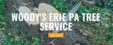 Woody's Erie Pa Tree Service, Erie