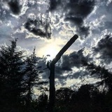 Dawkins Tree Care, Tenino