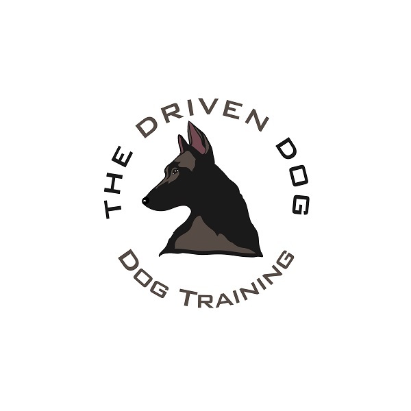  The Driven Dog of The Driven Dog 2436 E 4th St, Unit 768 - Photo 1 of 1