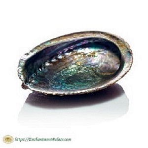  Profile Photos of Protection Amulets and Talismans for Sale 40-05 21st St suite 49B - Photo 5 of 5