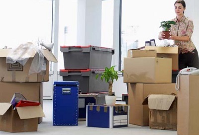  Profile Photos of ALFA Movers LLC Dubai Office 201, Sheikha Amna Obaid Building, Frij Murar,Deira, - Photo 2 of 3