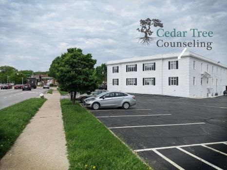  Profile Photos of Cedar Tree Counseling 201 E Ogden Ave, Suite 217 - Photo 2 of 3