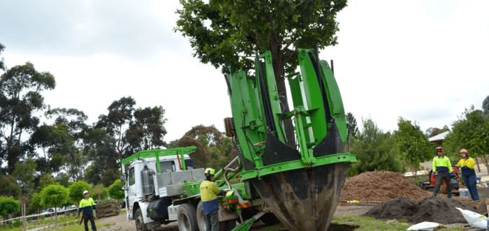  Our Services of Five Star Tree Services 156 Duncan Rd - Photo 34 of 34