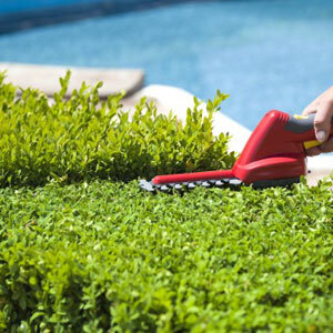  Our Services of Five Star Tree Services 156 Duncan Rd - Photo 4 of 34