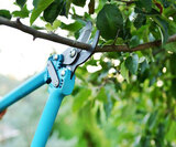 Need help with tree trimming in Richmond Hill? Give us a call!<br />
<br />
https://www.fivestartreecare.ca/ Five Star Tree Services 156 Duncan Rd 