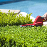  Five Star Tree Services 156 Duncan Rd 