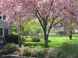  Five Star Tree Services 156 Duncan Rd 