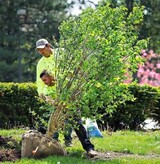  Five Star Tree Services 156 Duncan Rd 