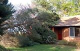 What to do when a tree falls on your house - https://www.fivestartreecare.ca/blog/steps-when-a-tree-falls-on-your-house/ Five Star Tree Services 156 Duncan Rd 