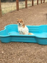 Mountain Parks Veterinary Hospital, Evergreen