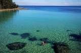 Nelsons Beach Lodge B&B and Holiday Accommodation, Vincentia