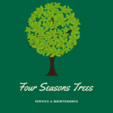 Four Seasons Trees, Skokie