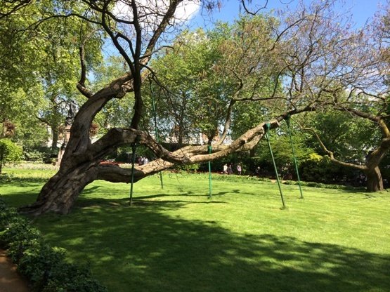  Profile Photos of Tree Pro Ltd 24 Douglas Road - Photo 6 of 6