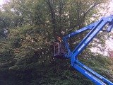 Tree Pro Ltd, Lenham
