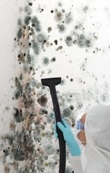 Phoenix Water Damage Experts, Phoenix Water Damage Experts, Phoenix