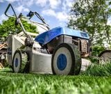 Clipper Tree Service of Orland Park, Orland Park