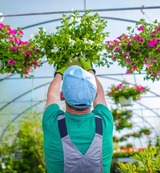 Clipper Tree Service of Orland Park, Orland Park