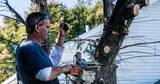 Clipper Tree Service of Orland Park, Orland Park