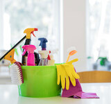 Upholstery Cleaning Sanford FL, Sanford