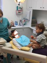 Bondi Dental, Bondi Beach