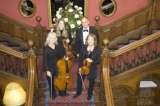 Haysden String Quartet, Tonbridge