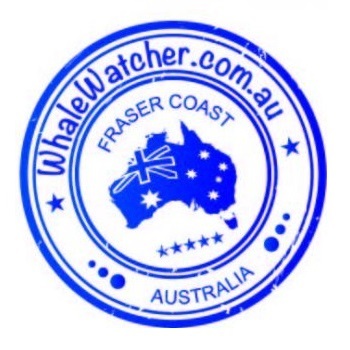  Profile Photos of WhaleWatcher.com.au 414 Esplanade - Photo 1 of 1