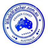 WhaleWatcher.com.au, Torquay