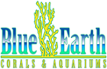 Blue Earth Corals & Aquariums, Lake Worth
