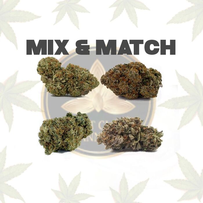  New Album of FirstClassCannabis 825 E 8th Ave #102, Vancouver, BC V5T 1T6 - Photo 10 of 34