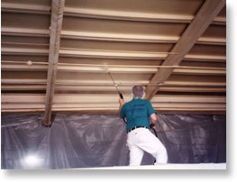  Profile Photos of Alpine Painting and Restoration Services 104 W Butler Ave - Photo 6 of 11