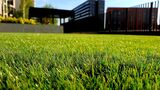  East Coast Lawn & Landscaping 5647 Estero Loop 