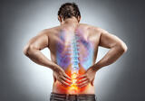  New York Spine & Sport 2008 Eastchester Road, 2nd level, Suite A & B 