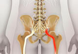  New York Spine & Sport 2008 Eastchester Road, 2nd level, Suite A & B 