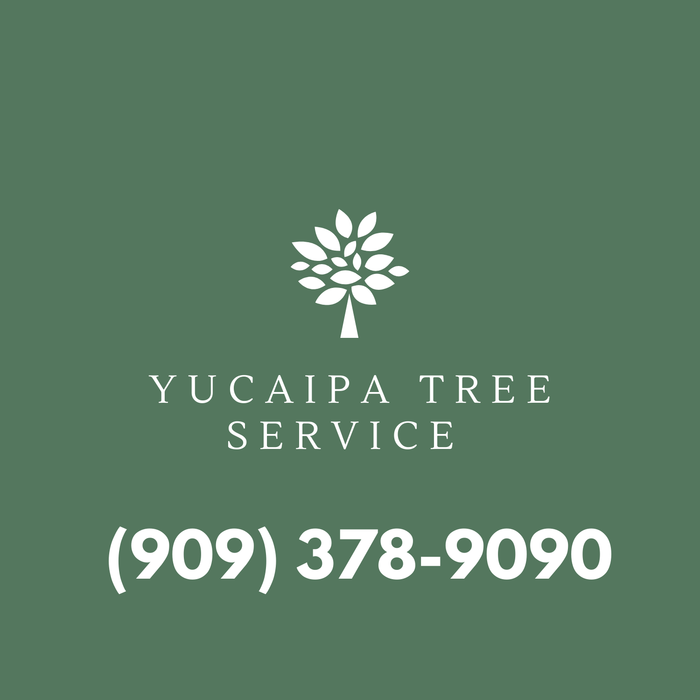  Profile Photos of Yucaipa Tree Service 32015 Teal Court - Photo 1 of 3