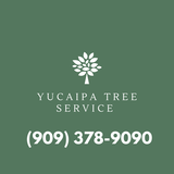 Yucaipa Tree Service, Yucaipa