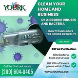  Yourk 1220 Reno Ave 
