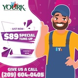  Yourk 1220 Reno Ave 