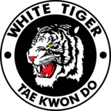  White Tiger Tae Kwon Do 2211 Hillside Avenue 