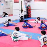  White Tiger Tae Kwon Do 2211 Hillside Avenue 