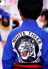  White Tiger Tae Kwon Do 2211 Hillside Avenue 