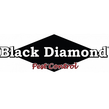  Profile Photos of Black Diamond Pest Control 3251 Spring Hollow Ave., Suite 2 - Photo 1 of 4