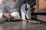  Palm Coast Pest Control N/A 