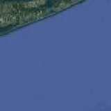 Island Pest Control Services, Staten Island