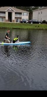 AAAC Wildlife Removal of Mobile, Daphne