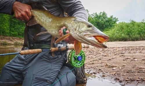  Profile Photos of O'Pros Fly Fishing 4037 S Read Rd - Photo 4 of 4